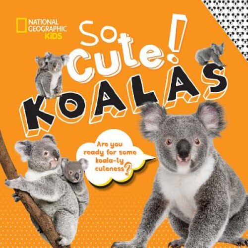 So Cute! Koalas de Crispin Boyer - eMAG.ro