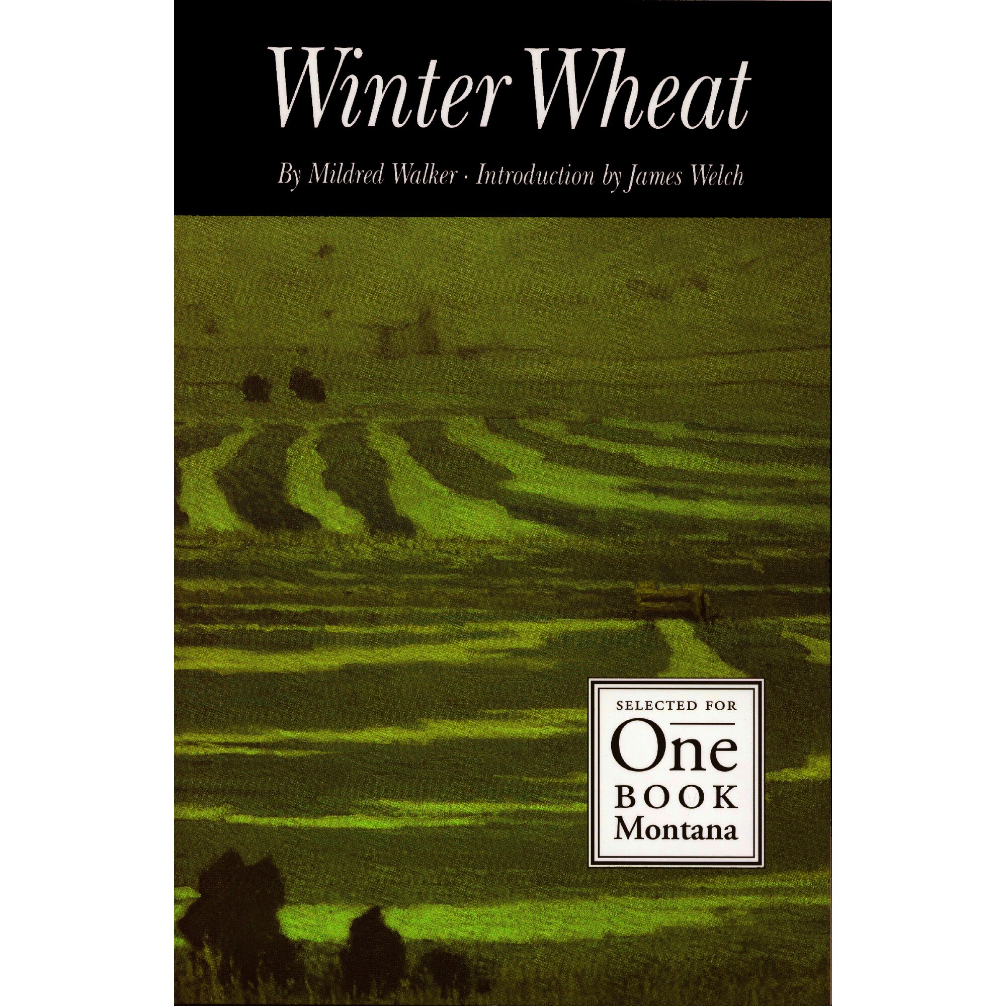 winter wheat book by mildred walker