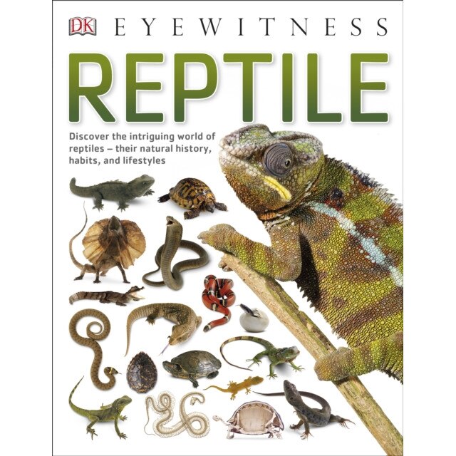 Reptile de DK