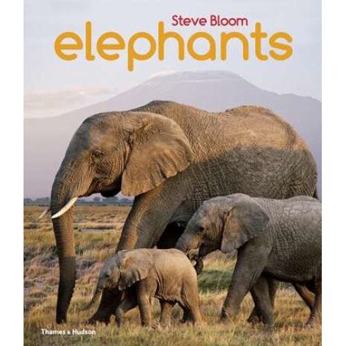 Elephants de Steve Bloom