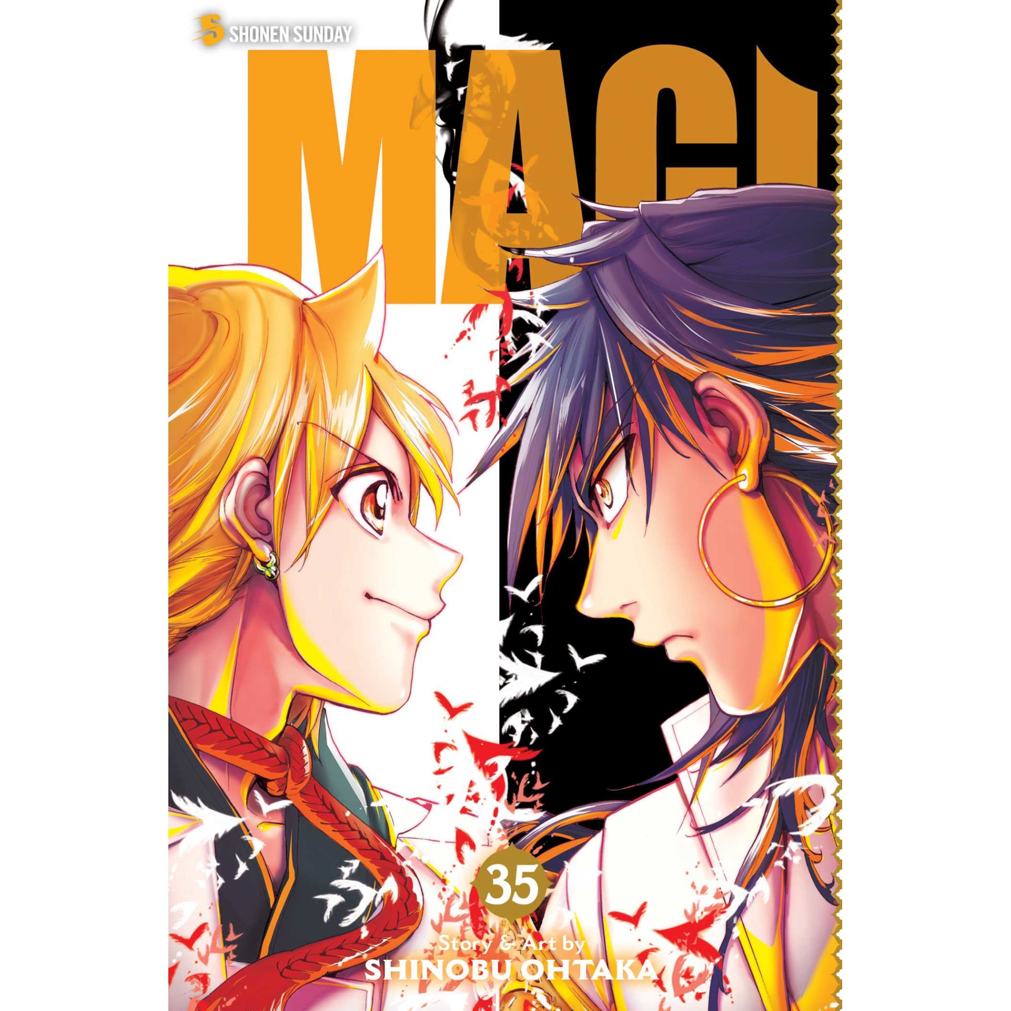 Magi: The Labyrinth of Magic, Vol. 35 de Shinobu Ohtaka