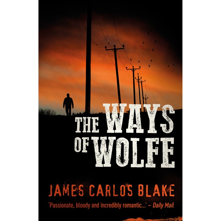 The Ways Of Wolfe de James Carlos Blake