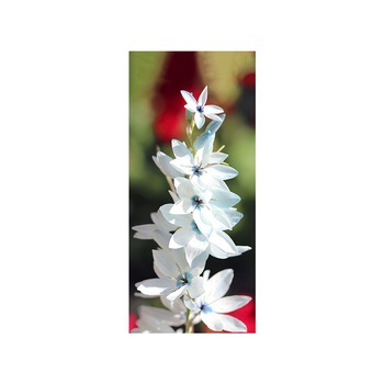 Autocolant usa Floare alba, Folina, floral, 92x205 cm Autocolant usa Floare alba, Folina, floral, 92x205 cm