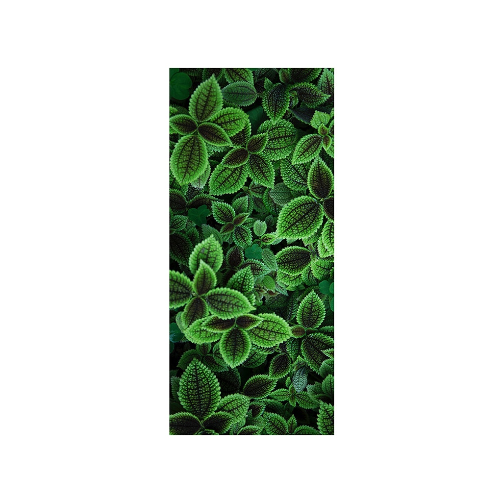 Autocolant usa Frunze verzi, Folina, 92x205 cm