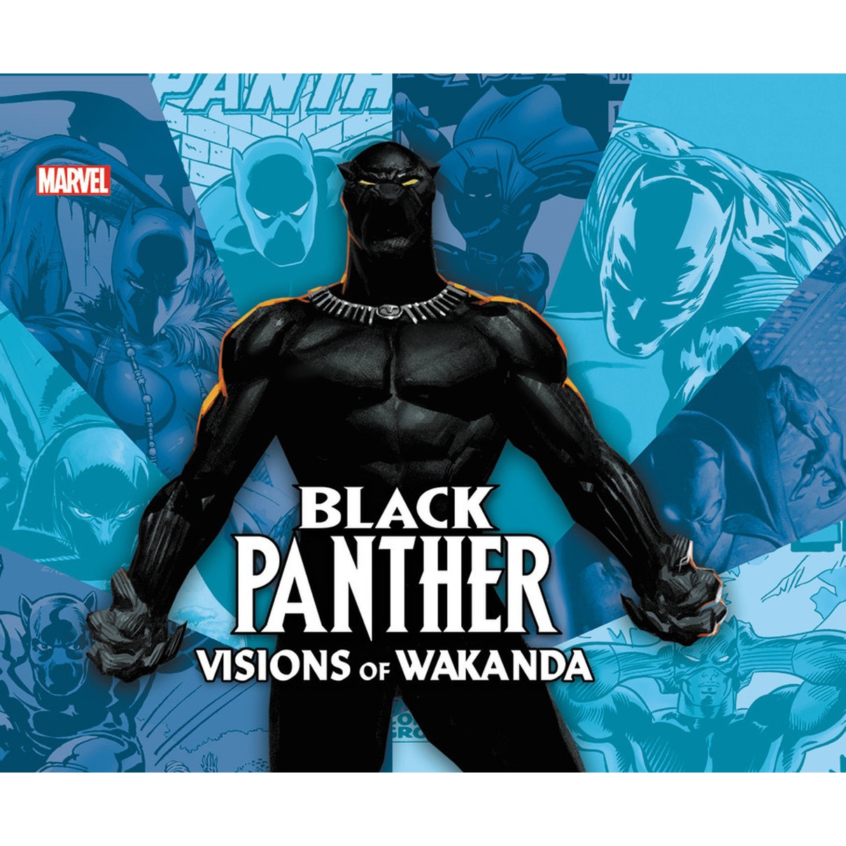 Black Panther: Visions Of Wakanda de Jess Harrold