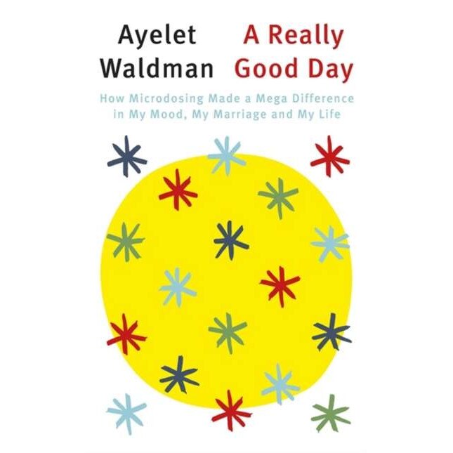 A Really Good Day de Ayelet Waldman