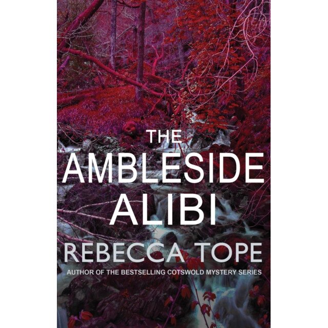 The Ambleside Alibi de Rebecca Tope