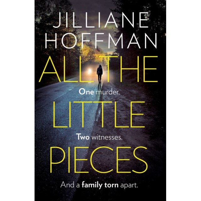 All the Little Pieces de Jilliane Hoffman