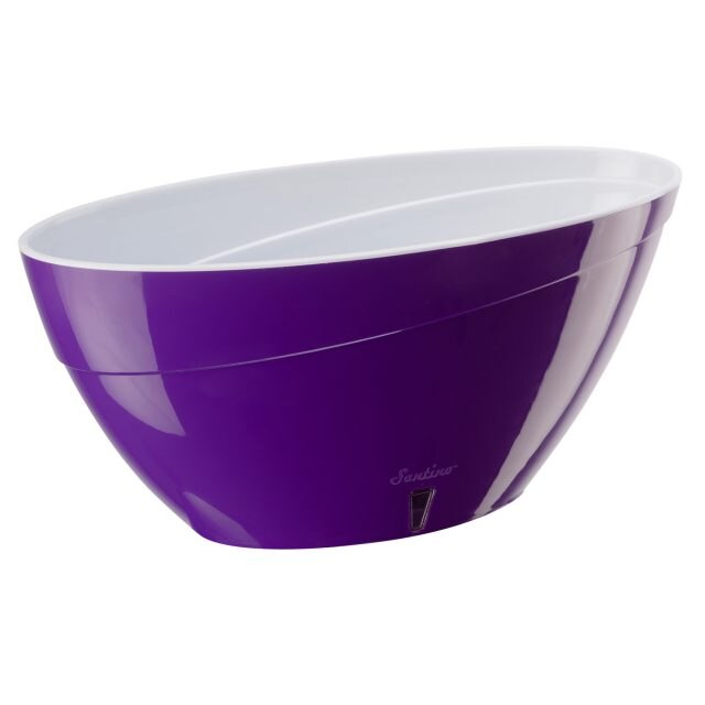 Ghiveci Calipso , 2L, violet cu alb