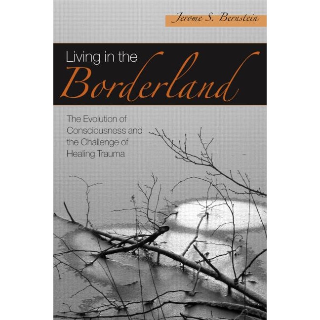 Living in the Borderland de Jerome S. Bernstein