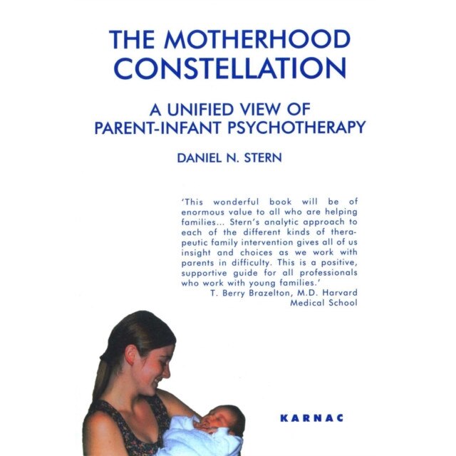 The Motherhood Constellation de Daniel N. Stern