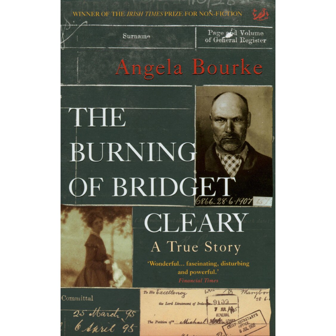 The Burning Of Bridget Cleary de Angela Bourke