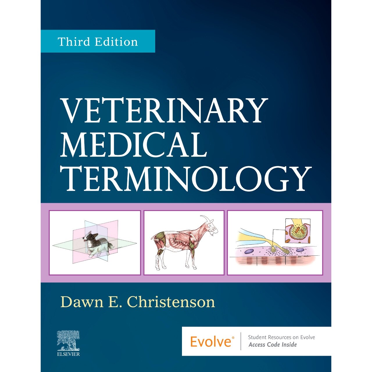 Veterinary Medical Terminology de Dawn E. Christenson