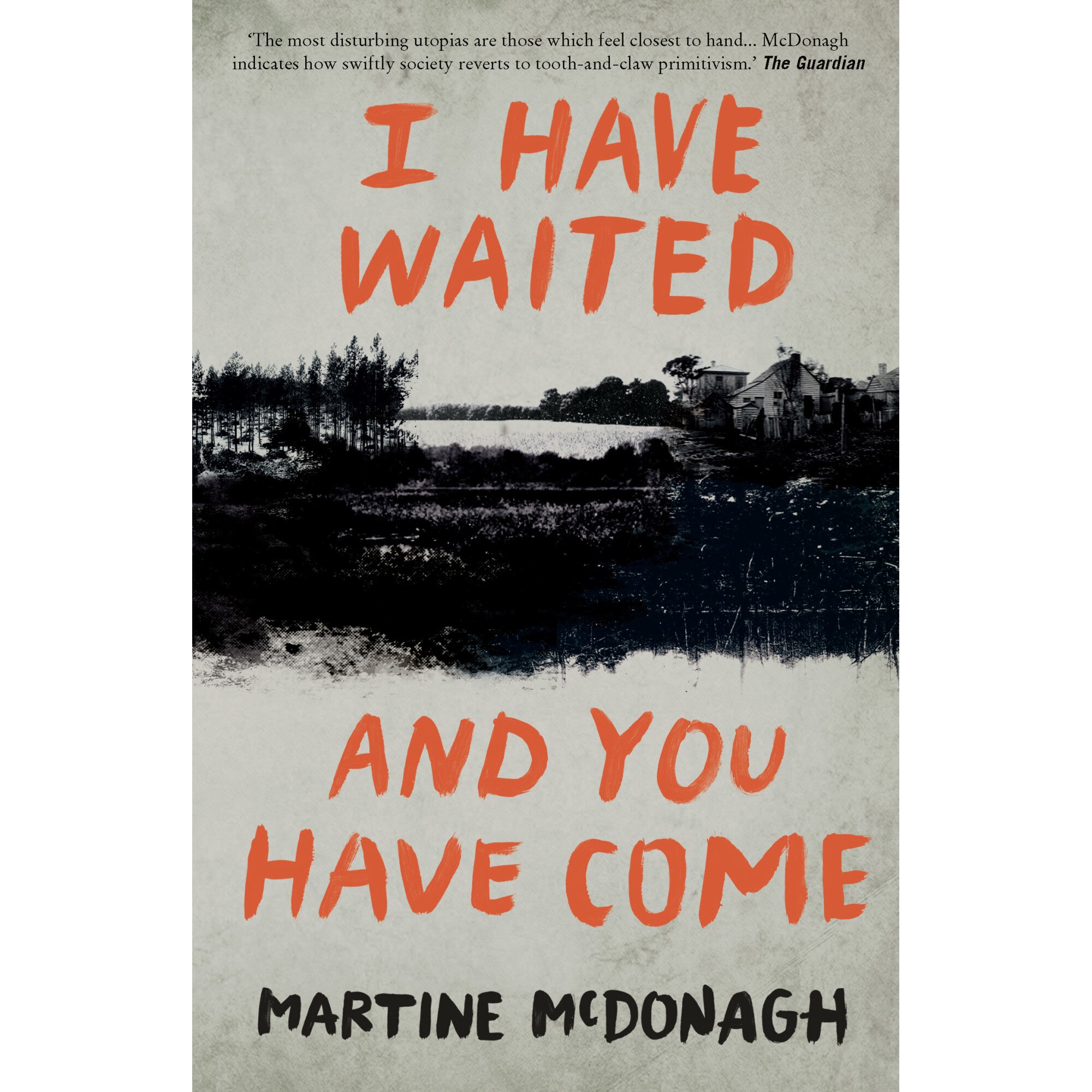 I Have Waited, And You Have Come de Martine McDonagh