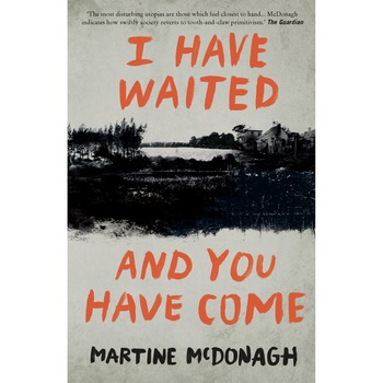 I Have Waited, And You Have Come de Martine McDonagh I Have Waited, And You Have Come de Martine McDonagh
