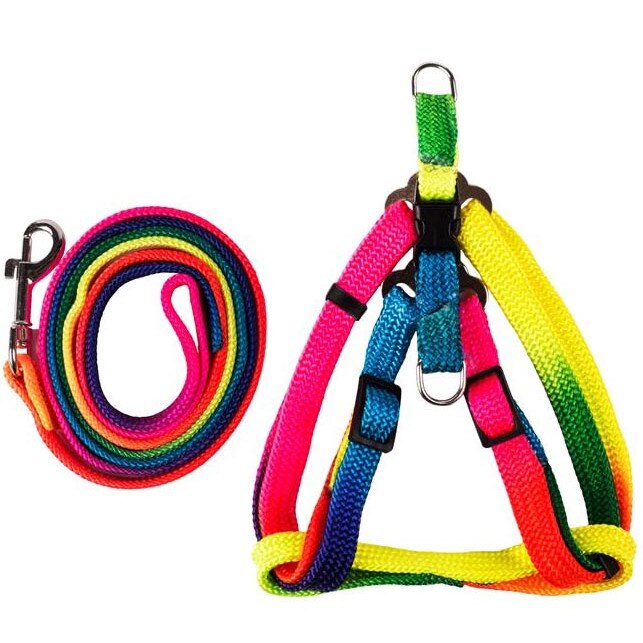 Set ham si lesa pentru caini Felis, Poliester, Ajustabile, 35-50/120 cm, Multicolor