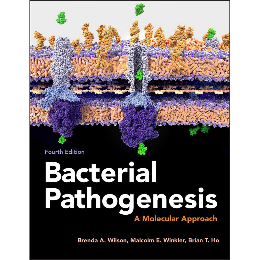 Bacterial Pathogenesis de Brenda A. Wilson