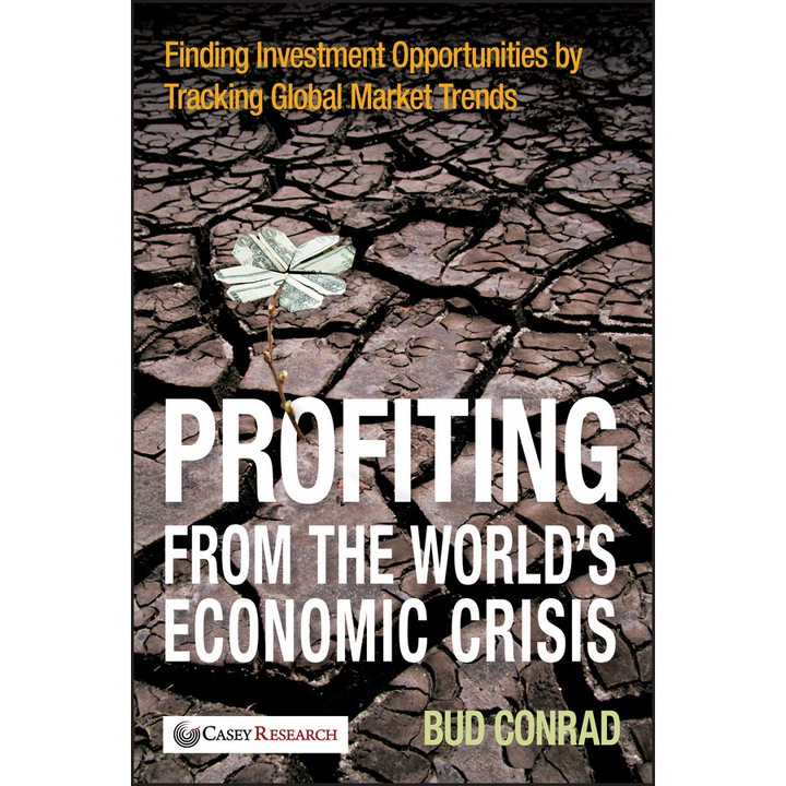 Profiting from the World′s Economic Crisis de Bud Conrad