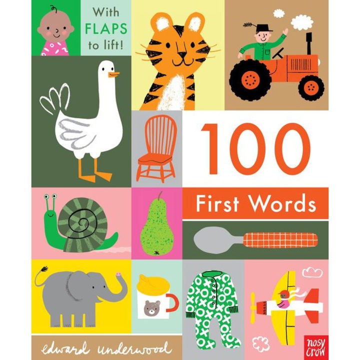 100 First Words de Nosy Crow