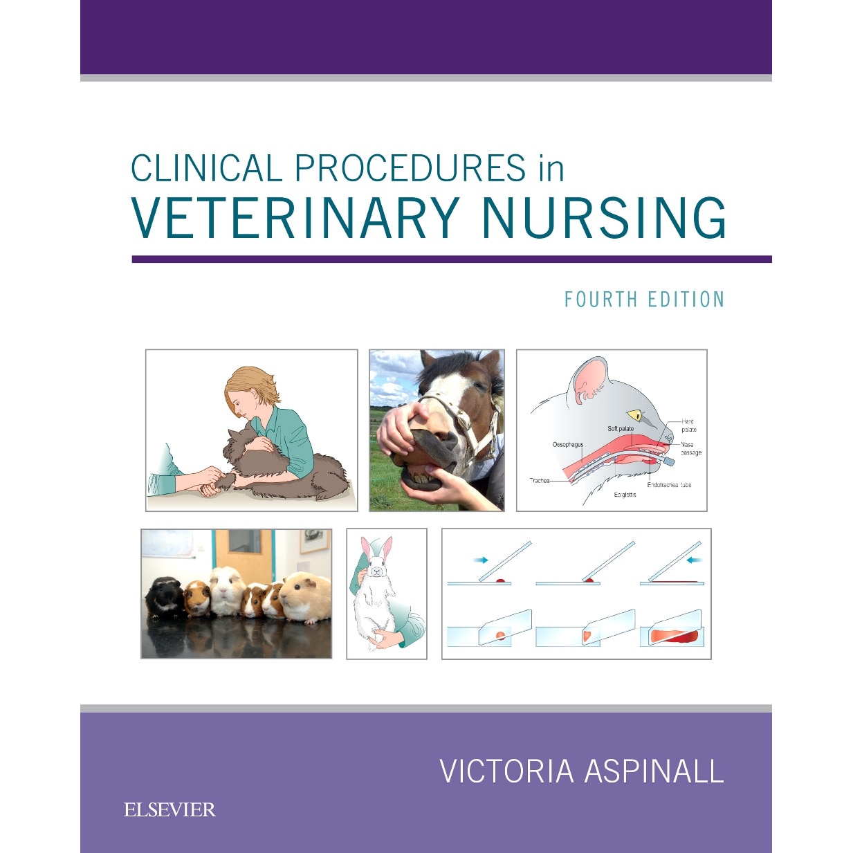 Clinical Procedures in Veterinary Nursing de Victoria Aspinall