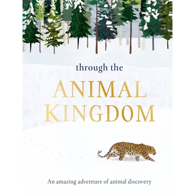 Through the Animal Kingdom: An Amazing Adventure of Animal Discovery de Derek Harvey