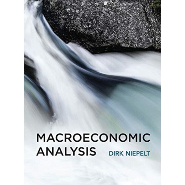 Macroeconomic Analysis de Dirk Niepelt