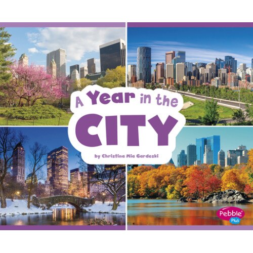 A Year in the City de Christina Mia Gardeski