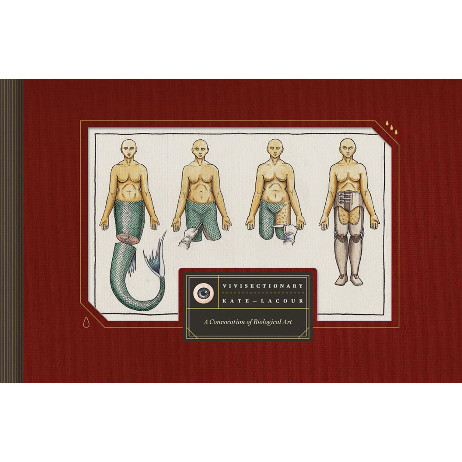 Vivisectionary de Kate Lacour