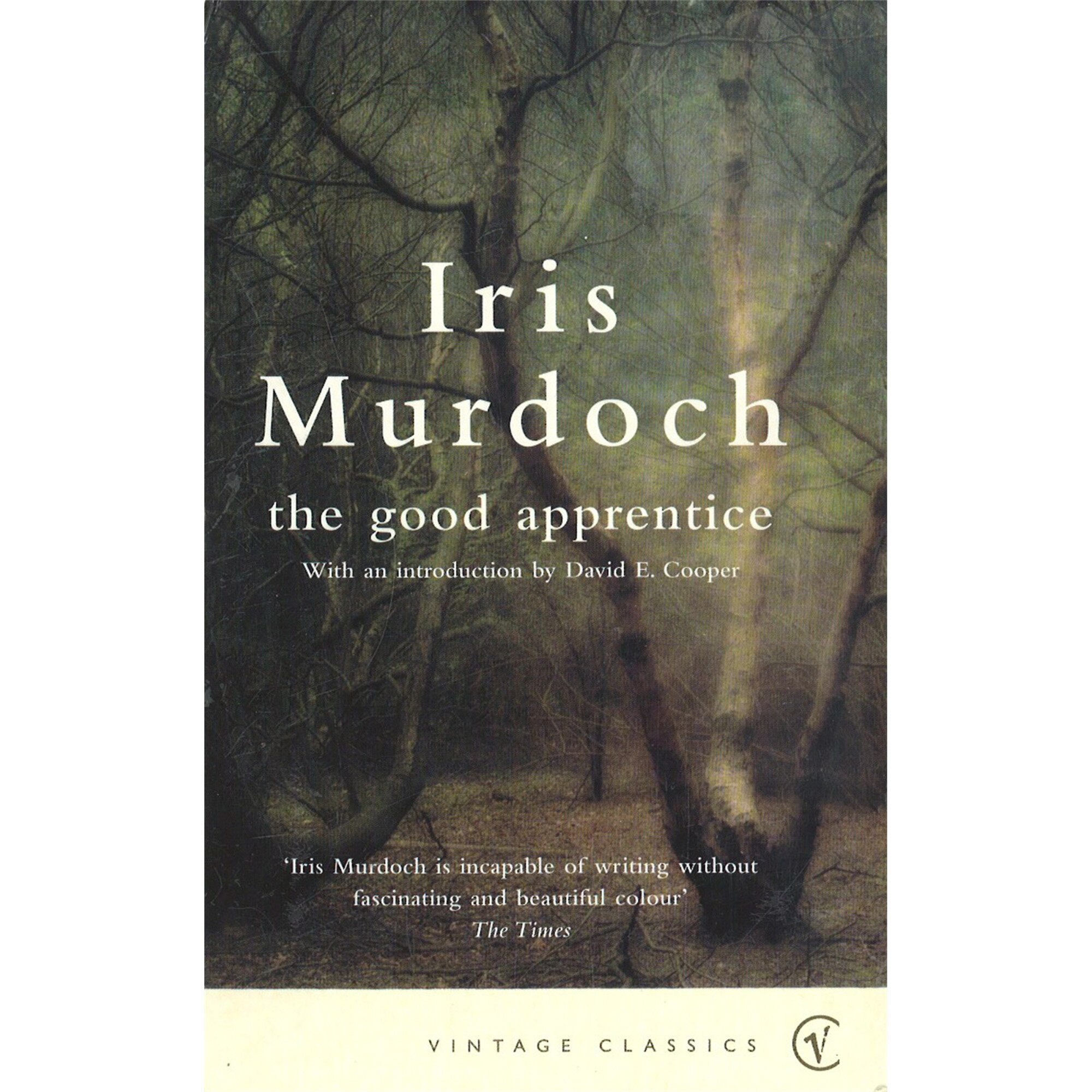 The Good Apprentice de Iris Murdoch