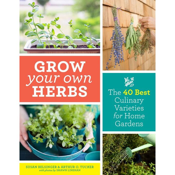 Grow Your Own Herbs: The 40 Best Culinary Varieties for Home Gardens de Susan Belsinger