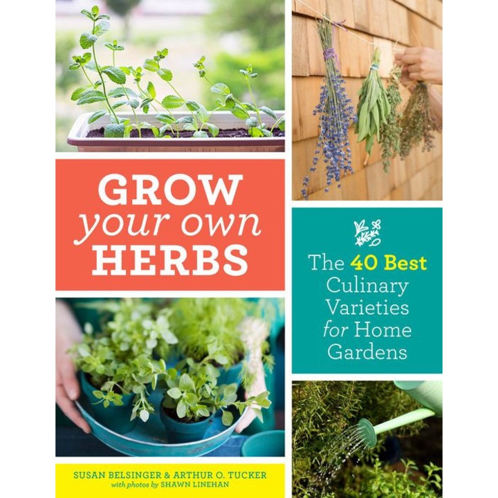 Grow Your Own Herbs: The 40 Best Culinary Varieties for Home Gardens de Susan Belsinger