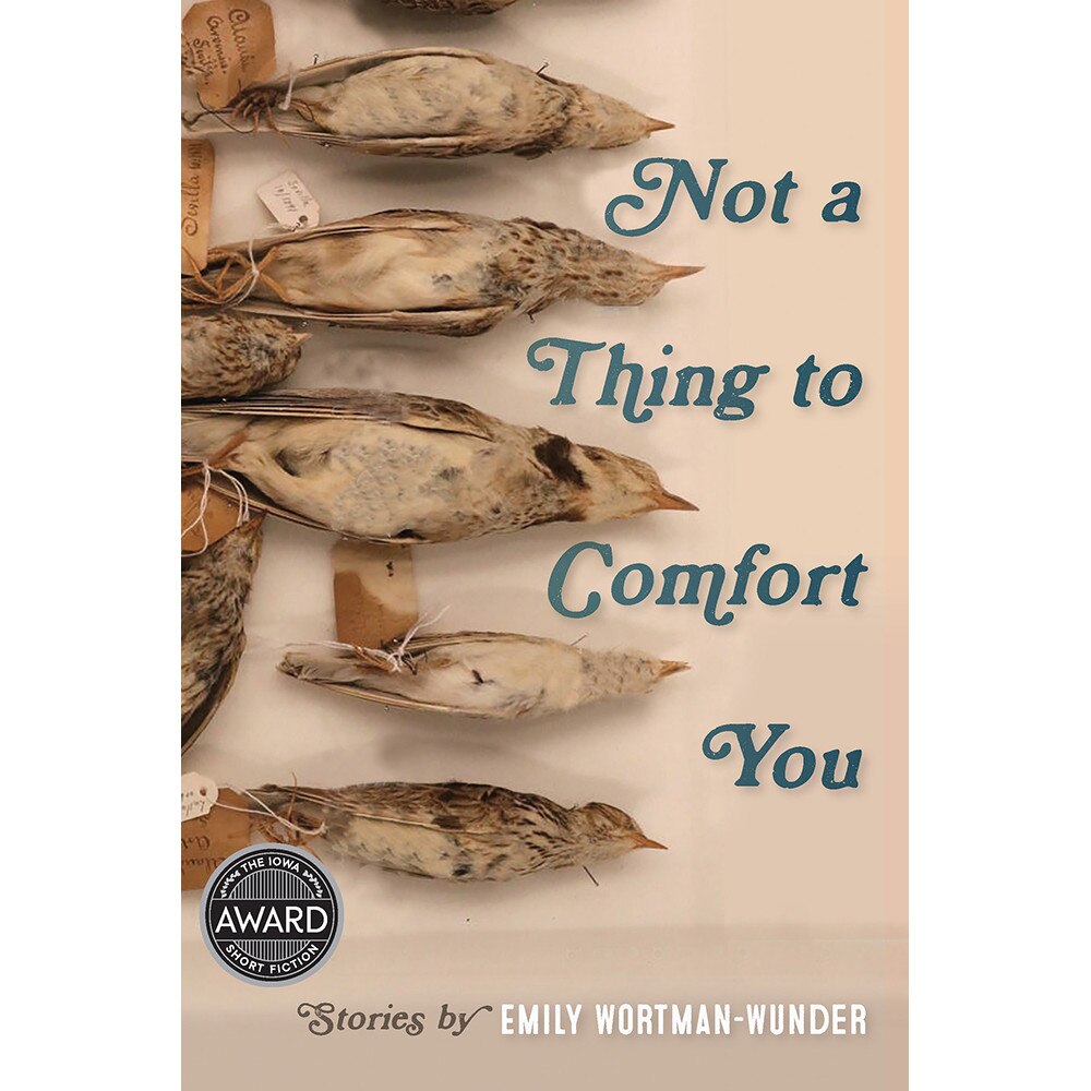 Not a Thing to Comfort You de Emily Wortman-Wunder