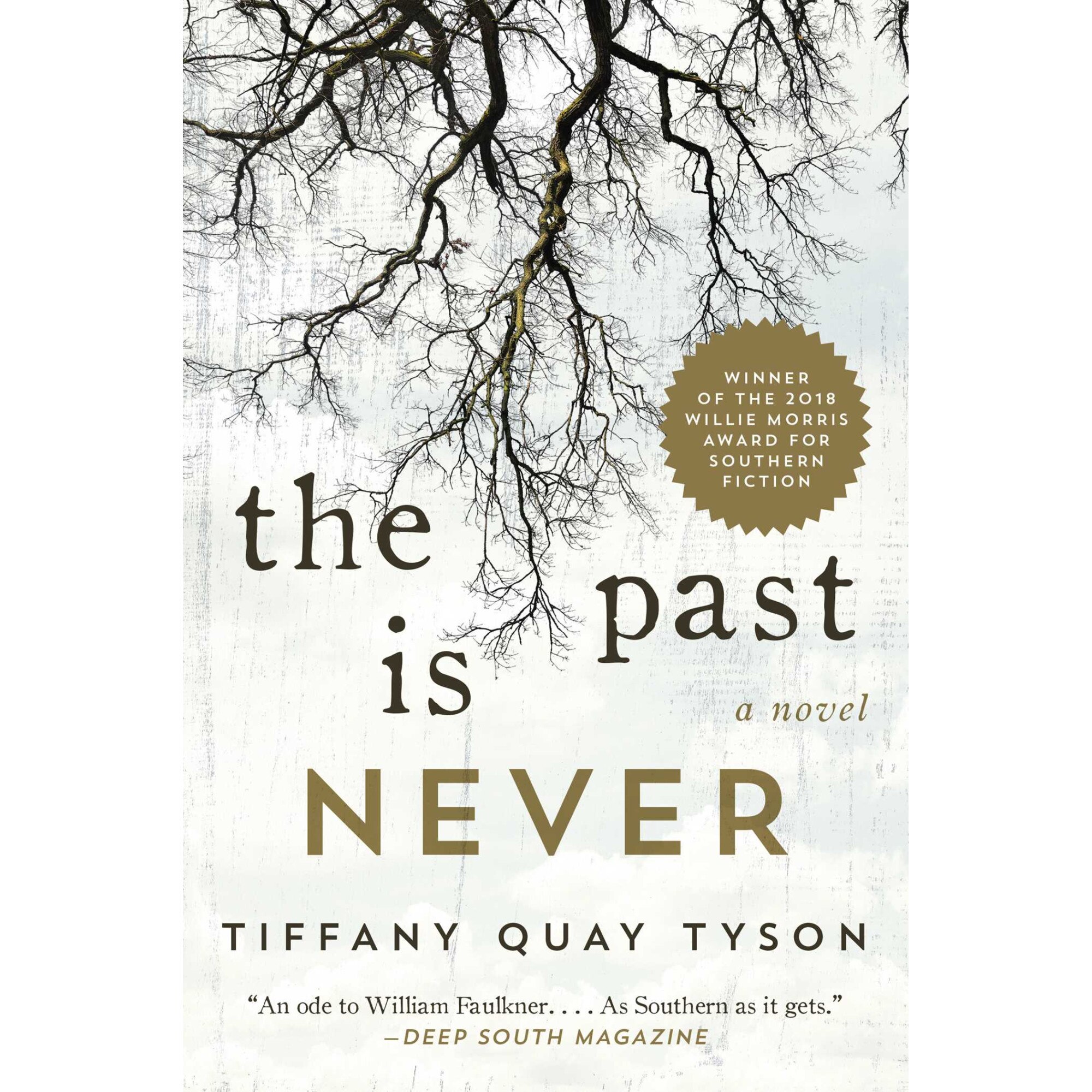 The Past Is Never de Tiffany Quay Tyson