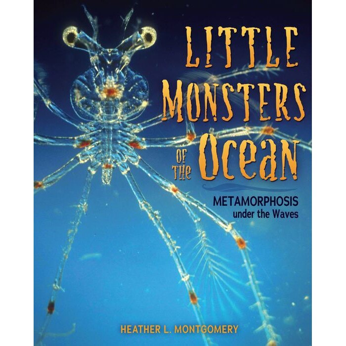 Little Monsters of the Ocean: Metamorphosis Under the Waves de Heather L. Montgomery