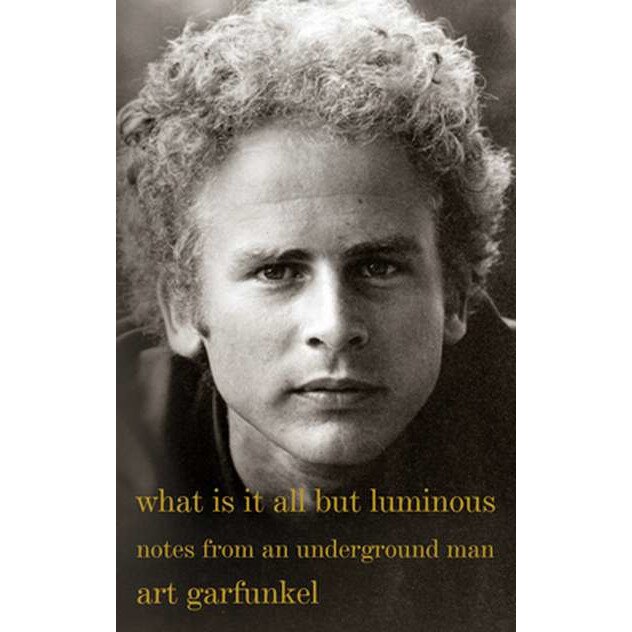 What Is It All but Luminous de Art Garfunkel