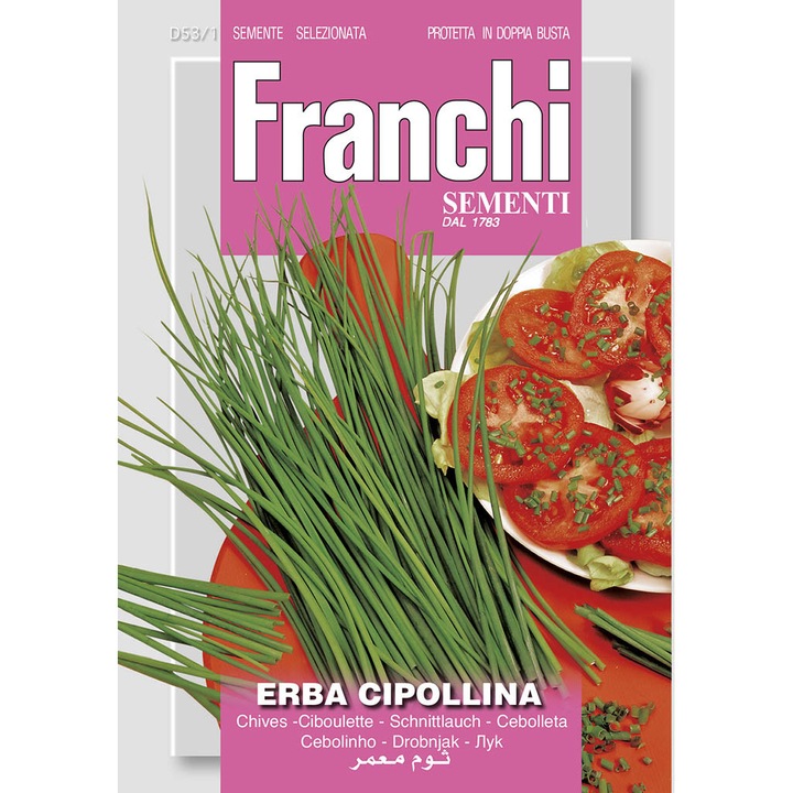 Seminte de Ceapa de tuns