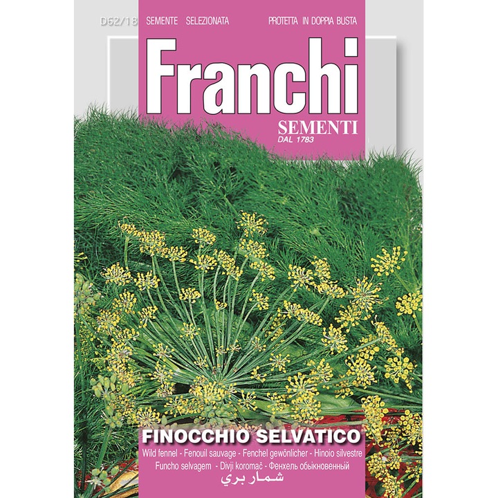 Seminte de Chimen dulce