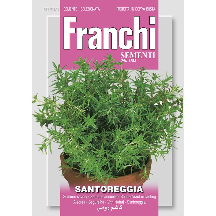 Seminte de Cimbru de gradina