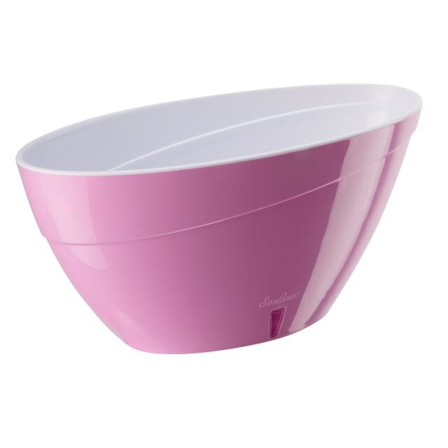 Ghiveci Calipso , 3.3 L , roz cu alb