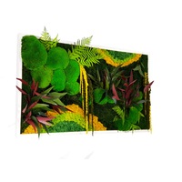 tablou licheni muschi bombati naturali plante stabilizate dimensiune 60 x 100 cm rama alba jolie arts imagen 55_0_
0