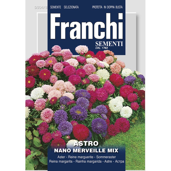 Seminte de Ochiul boului - Pitic Minune Multicolor