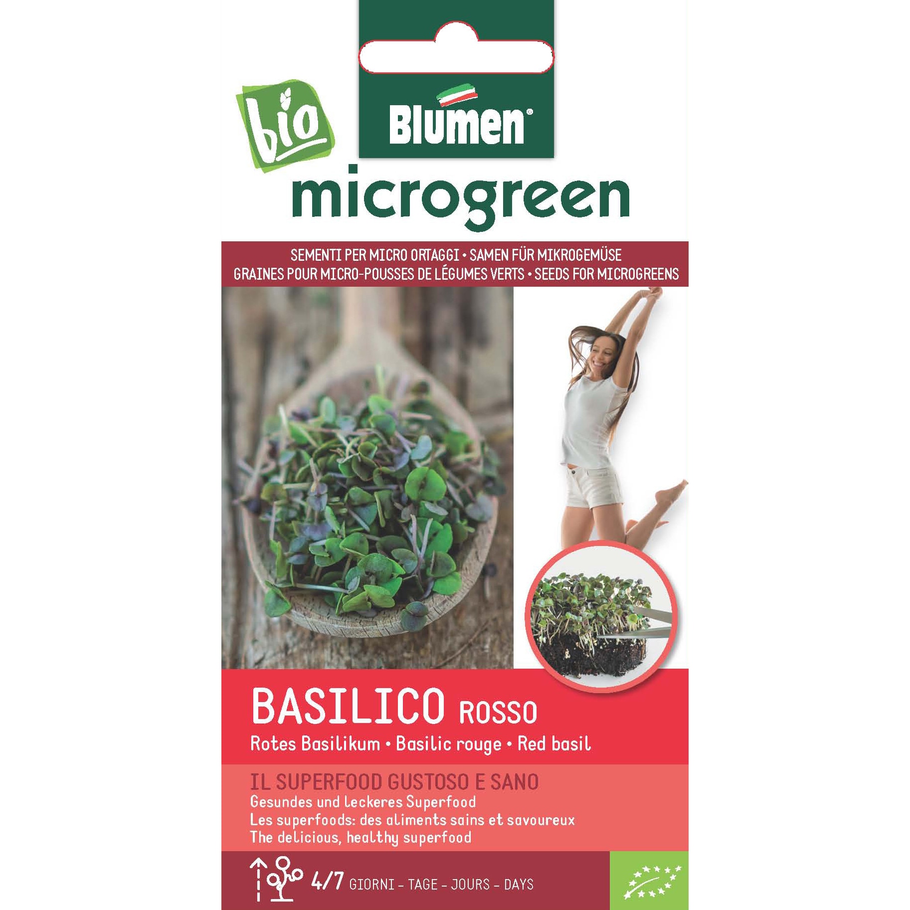 Seminte micro-plante pentru consum Microgreen BIO Blumen, soi Basilico Rosso - Busuioc rosu