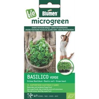 seminte micro-plante pentru consum microgreen bio blumen soi basilico verde - busuioc italian imagen 38_0_
0