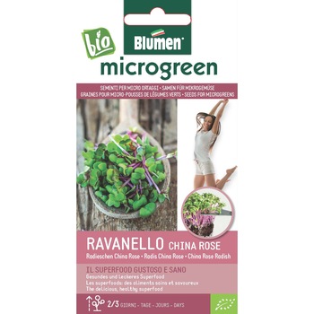 Seminte micro-plante pentru consum Microgreen BIO Blumen, soi Ravanello China Rose - Ridiche Rose Seminte micro-plante pentru consum Microgreen BIO Blumen, soi Ravanello China Rose - Ridiche Rose