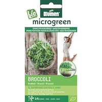 Seminte micro-plante pentru consum Microgreen BIO Blumen, soi Broccoli - Broccoli