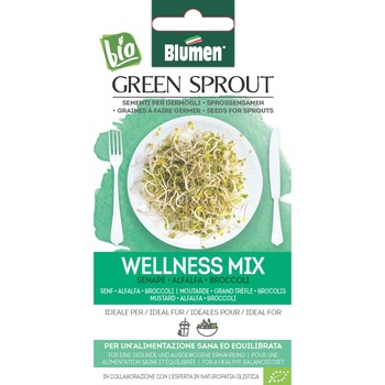 Seminte de germeni pentru consum BIO Blumen, amestec Wellness Mix Seminte de germeni pentru consum BIO Blumen, amestec Wellness Mix