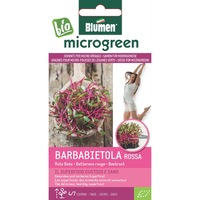 seminte micro-plante pentru consum microgreen bio blumen soi barbabietola rossa - sfecla rosie imagen 47_0_
0