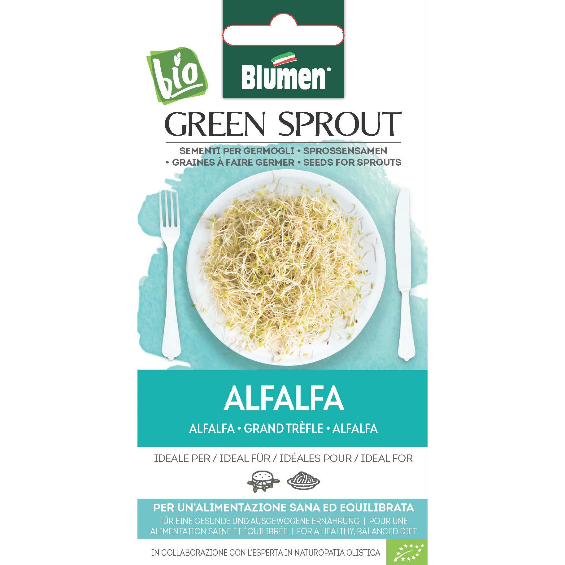 Seminte de germeni pentru consum BIO Blumen, soi Alfalfa - Lucerna