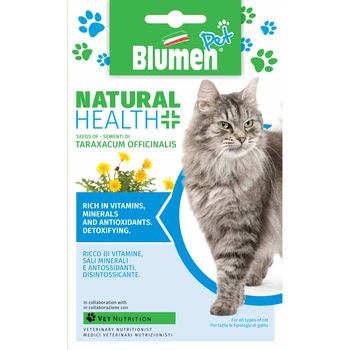 Seminte plante medicinale pentru sanatatea pisicii Blumen Pet, soi Taraxacum Officinalis Seminte plante medicinale pentru sanatatea pisicii Blumen Pet, soi Taraxacum Officinalis