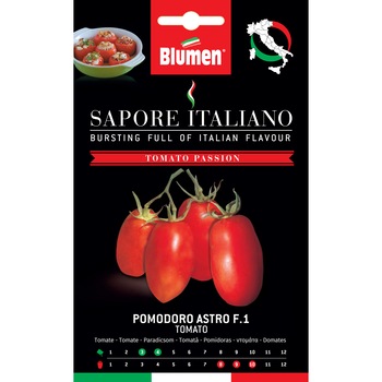 Seminte de rosii premium Blumen, colectia Sapore Italiano, soi Astro F.1 Seminte de rosii premium Blumen, colectia Sapore Italiano, soi Astro F.1